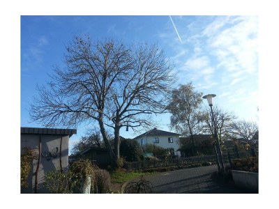 Apartment 3-Bett-Ferienwohnung Dusche/WC, 2 Schlafräume - Outdoor photo 19