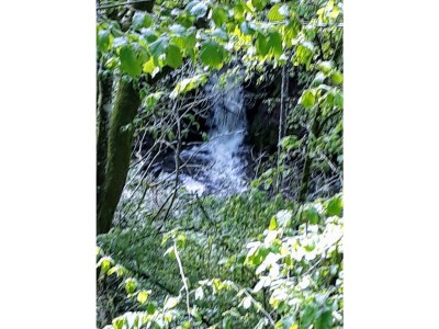 Apartment 3-Bett-Ferienwohnung Dusche/WC, 2 Schlafräume - Outdoor photo 21