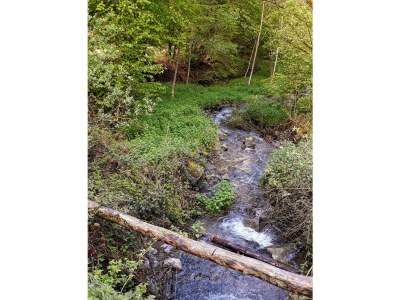 Apartment 3-Bett-Ferienwohnung Dusche/WC, 2 Schlafräume - Outdoor photo 22