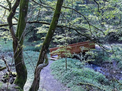 Apartment 3-Bett-Ferienwohnung Dusche/WC, 2 Schlafräume - Outdoor photo 24