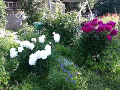 Apartment 3-Bett-Ferienwohnung Dusche/WC, 2 Schlafräume - Outdoor photo 30