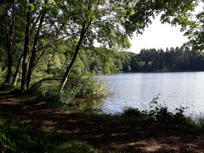 Apartment 3-Bett-Ferienwohnung Dusche/WC, 2 Schlafräume - Outdoor photo 31