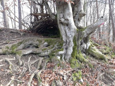 Apartment 3-Bett-Ferienwohnung Dusche/WC, 2 Schlafräume - Outdoor photo 33
