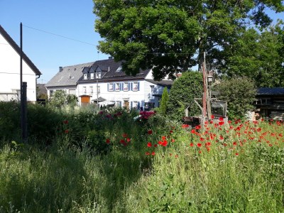 Apartment 3-Bett-Ferienwohnung Dusche/WC, 2 Schlafräume - Outdoor photo 36