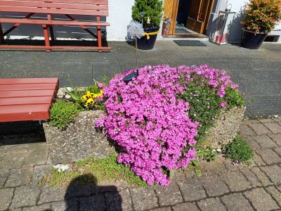 Apartment 3-Bett-Ferienwohnung Dusche/WC, 2 Schlafräume - Outdoor photo 38