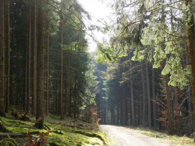 Apartment 10-Bett-Ferienhaus, Dusche oder Bad, 5 Schlafzi. - Outdoor photo 32