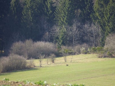 Apartment 10-Bett-Ferienhaus, Dusche oder Bad, 5 Schlafzi. - Outdoor photo 36