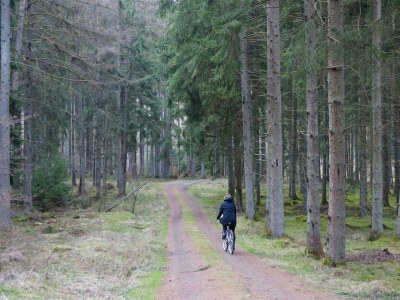 Apartment 10-Bett-Ferienhaus, Dusche oder Bad, 5 Schlafzi. - Outdoor photo 38