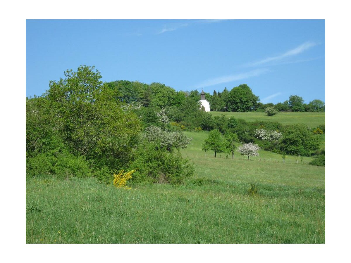 Apartment EifelNatur 4 (bis 5 Personen) - Outdoor photo 4