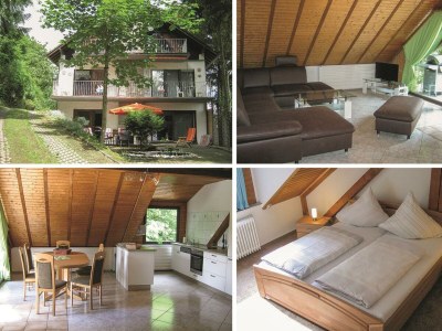 Apartment EifelNatur 4 (bis 5 Personen) in Immerath - Apartment