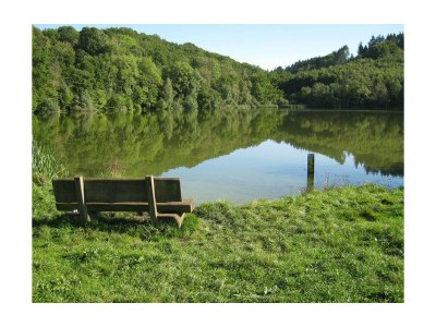 Apartment EifelNatur 4 (bis 5 Personen) - Outdoor photo 5