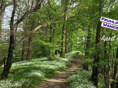 Apartment 4-Bett-Ferienwohnung Therme - Outdoor photo 23