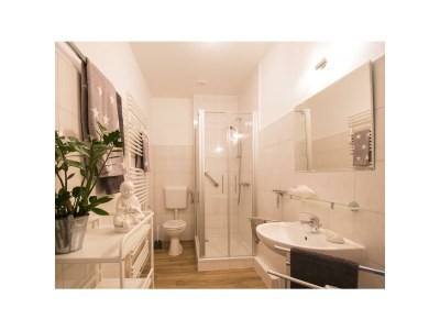 Apartment 4-Bett-Ferienwohnung Therme - Features photo 29