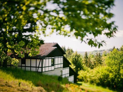 Apartment 6-Bett-Ferienhaus Ahorn - Features photo 32