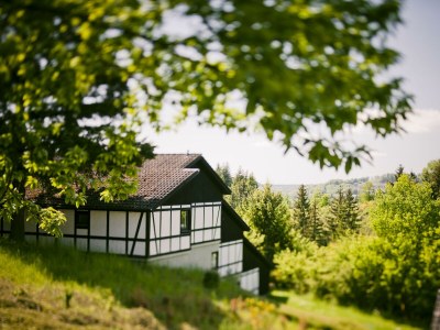 Apartment 6-Bett-Ferienhaus Ahorn - Features photo 38