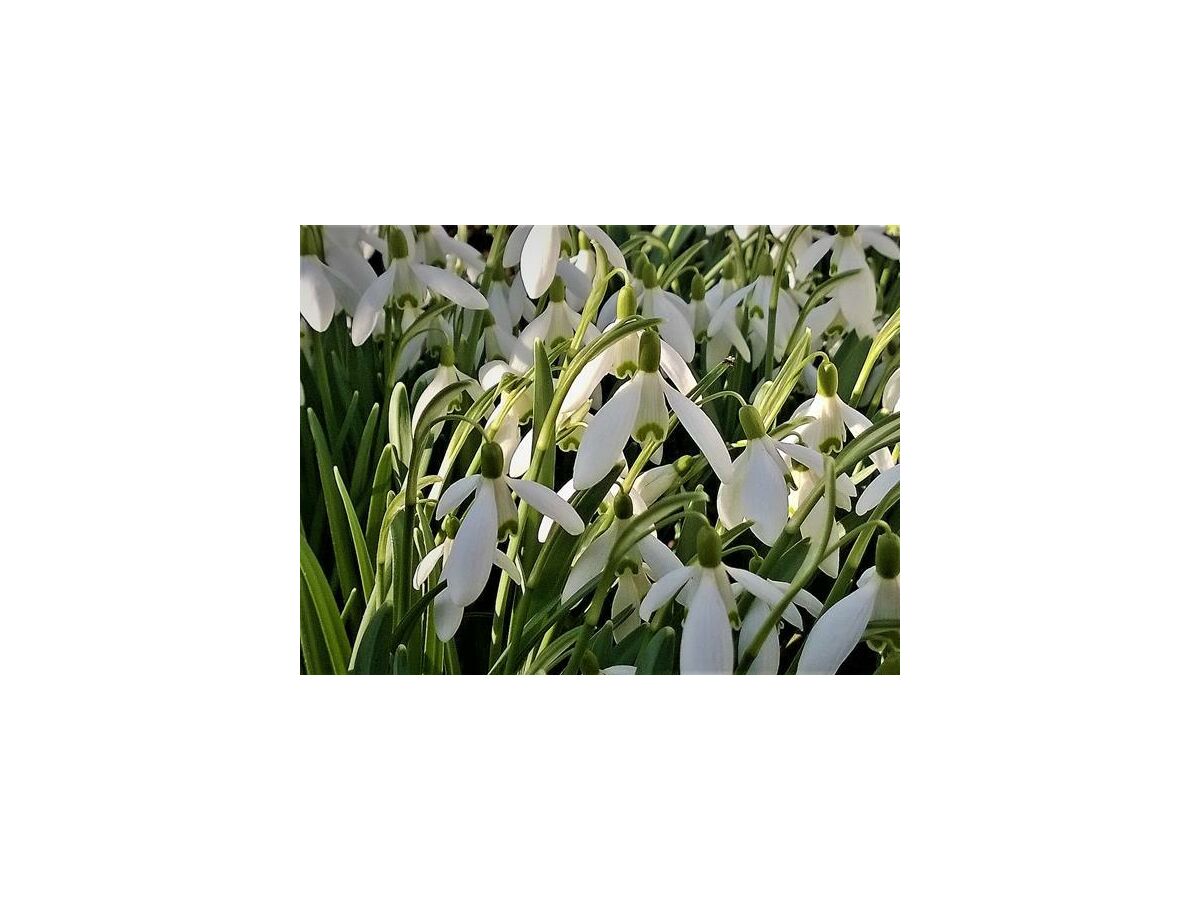 Apartment 2-Bettwohnung (Nichtraucher) - Outdoor photo 5