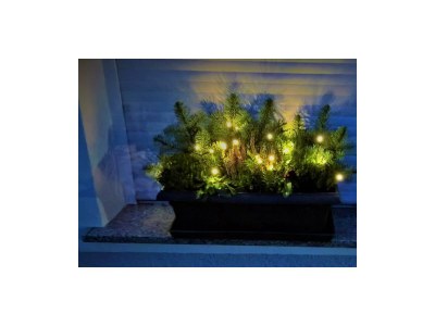 Apartment 2-Bettwohnung (Nichtraucher) - Outdoor photo 2