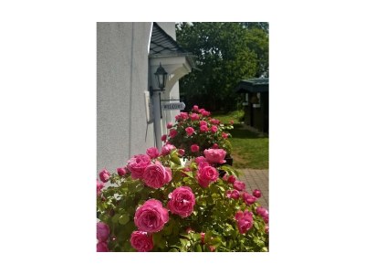 Apartment 2-Bettwohnung (Nichtraucher) - Outdoor photo 7