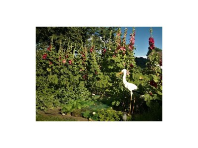 Apartment 2-Bettwohnung (Nichtraucher) - Outdoor photo 9