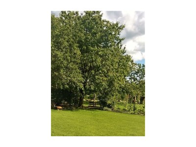 Apartment 2-Bettwohnung (Nichtraucher) - Outdoor photo 10