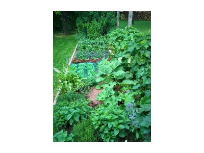 Apartment 2-Bettwohnung (Nichtraucher) - Outdoor photo 12