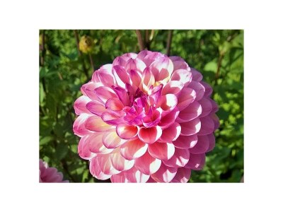 Apartment 2-Bettwohnung (Nichtraucher) - Outdoor photo 15