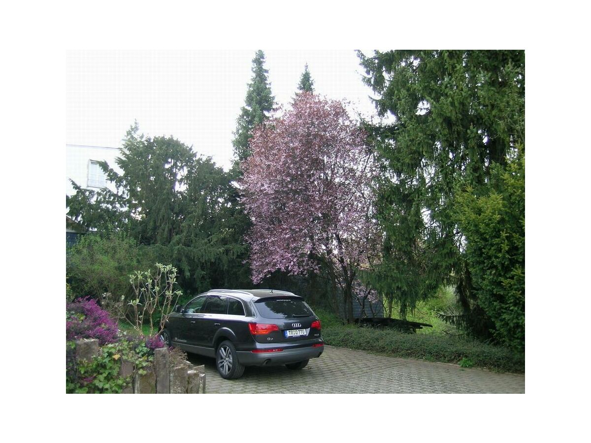 Apartment 2-Bettwohnung "FISCHER" (NR) - Outdoor photo 5