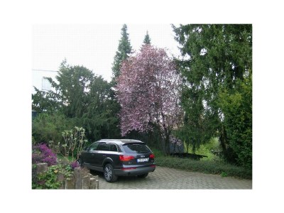 Apartment 2-Bettwohnung "FISCHER" (NR) - Outdoor photo 5