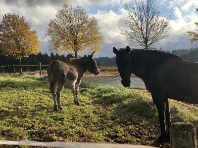 Apartment 4-Bett-Haus Johannes - Outdoor photo 6