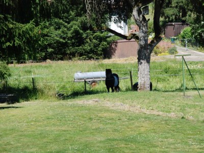 Apartment 4-Bett-Haus Johannes - Outdoor photo 13