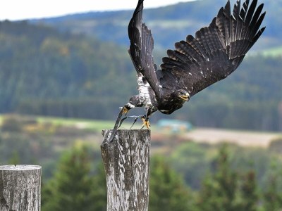 Apartment 4-Bett-Haus Johannes - Outdoor photo 19