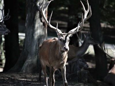 Apartment 4-Bett-Haus Johannes - Outdoor photo 25