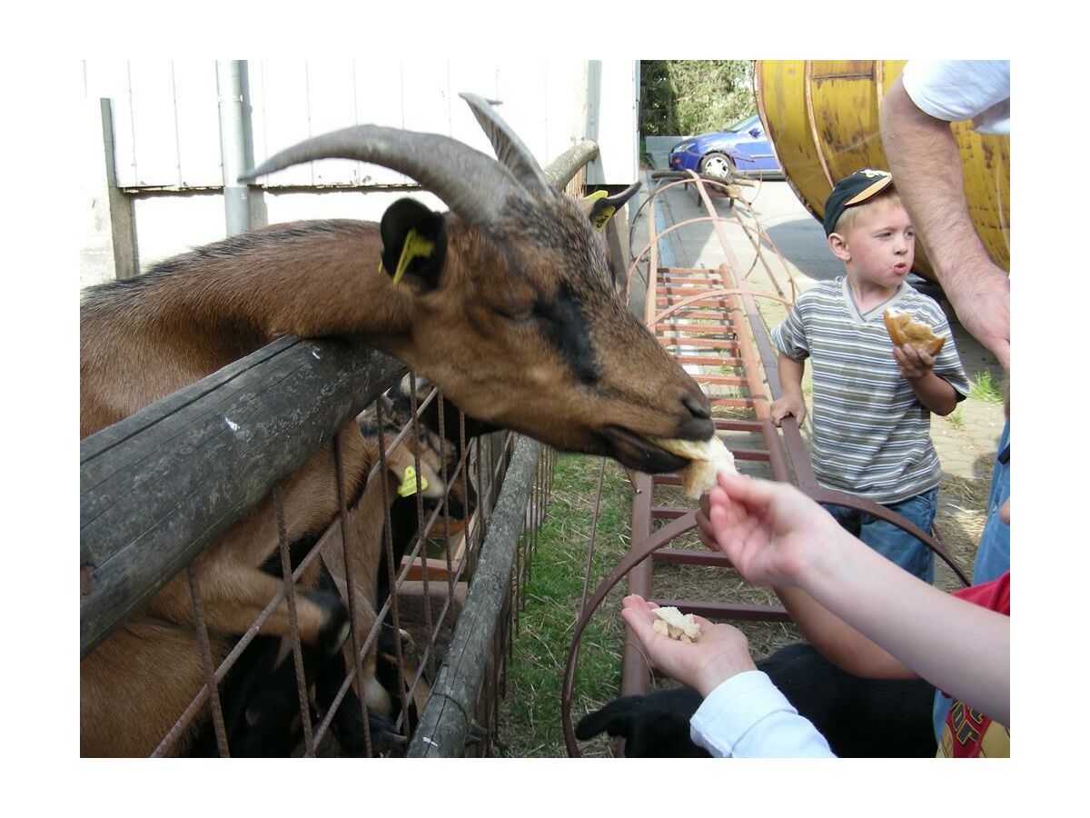 Apartment 4-Bett-Ferienwohnung Sonnenblume - Outdoor photo 4