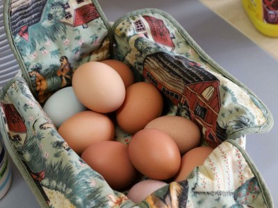 Apartment 4-Bett-Ferienwohnung Sonnenblume - Outdoor photo 9