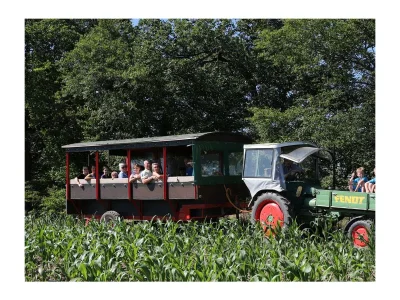 Apartment 4-Bett-Ferienwohnung Sonnenblume - Outdoor photo 17