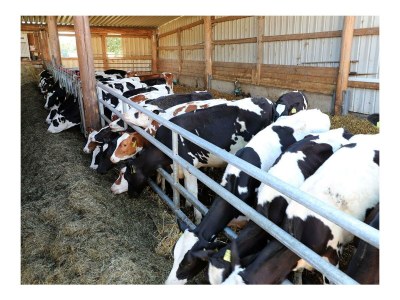 Apartment 4-Bett-Ferienwohnung Sonnenblume - Outdoor photo 18