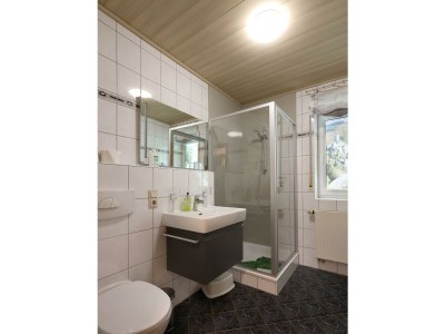 Apartment 4-Bett-Ferienwohnung Sonnenblume - Features photo 47