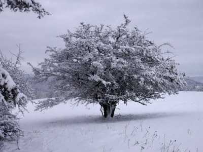 Apartment 10-Bett-Haus Schneider Kätchen - Outdoor photo 22
