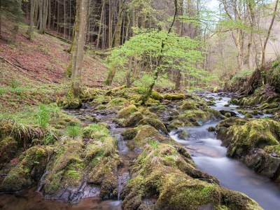 Apartment 10-Bett-Haus Schneider Kätchen - Outdoor photo 26