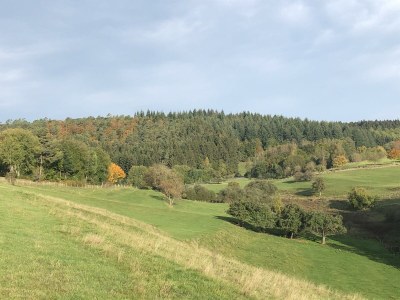 Apartment 10-Bett-Haus Schneider Kätchen - Features photo 51