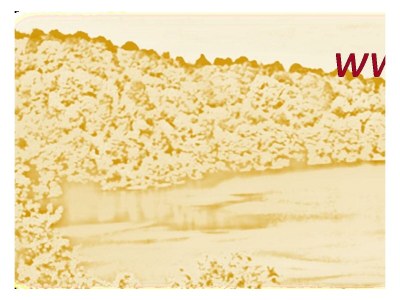 Apartment 10-Bett-Haus Schneider Kätchen - Features photo 54