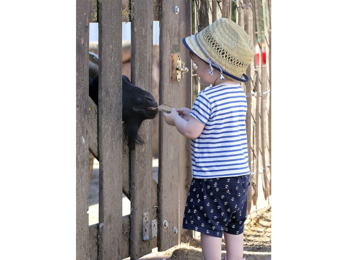 Apartment 4-Bett-Ferienwohnung Mohnblume