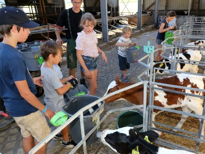 Apartment 4-Bett-Ferienwohnung Mohnblume - Outdoor photo 41