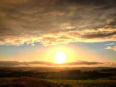 Apartment 4-Bett Ferienwohnung Maarstube, 1 Schlafraum - Outdoor photo 76