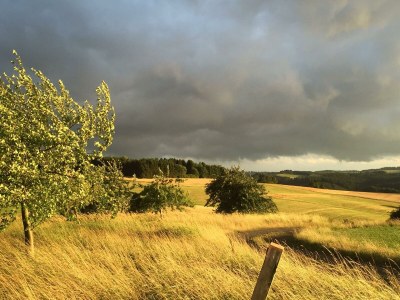 Apartment 4-Bett Ferienwohnung Maarstube, 1 Schlafraum - Outdoor photo 94