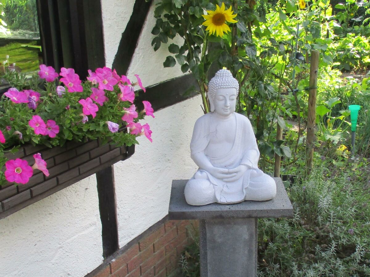 Apartment 3-Bettwohnung - Outdoor photo 3