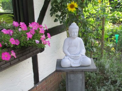 Apartment 3-Bettwohnung - Outdoor photo 3