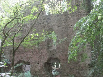 Apartment 3-Bettwohnung - Outdoor photo 8