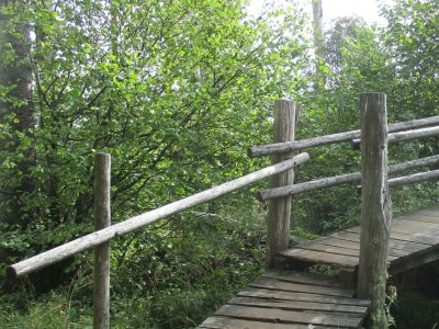 Apartment 3-Bettwohnung - Outdoor photo 10