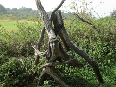 Apartment 3-Bettwohnung - Outdoor photo 11